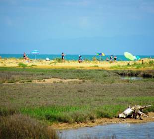 Naturschutzgebiet dei Pini