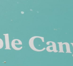 ....einfach ein Muss!