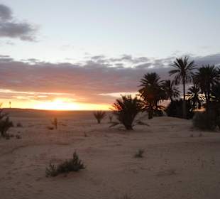 Auf Kamelen dem Sonnenuntergang entgegen