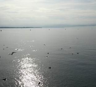 Uferpromenade Friedrichshafen