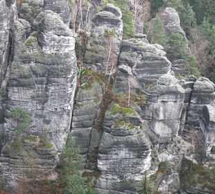Bastei Sächsische Schweiz - Elbsandsteingebirge