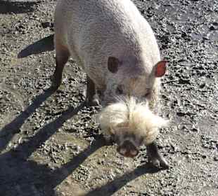 Tierpark Hellabrunn München
