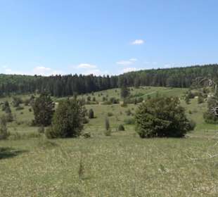 Premiumwanderweg Hochgehschätzt