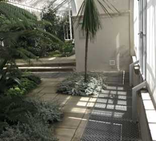 Palmenhaus