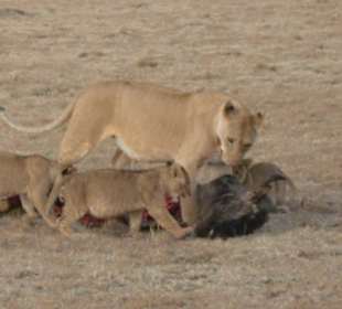 Könnt ihr nicht warten bis ihr dran seid