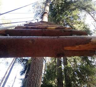 Neues im Kletterwald 09-2012