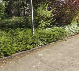 Evangelische Kirche Mundingen