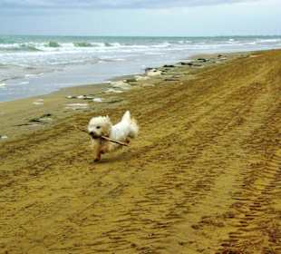 Ende September 2010 Impressionen