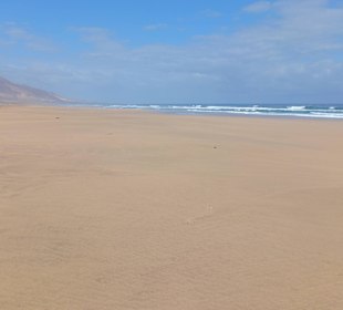 Breiter Sandstrand bei Cofete