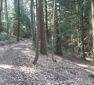 Wanderung Florianrunde