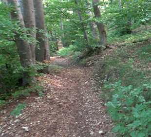 Tour entlang der Traifelbergfelsen