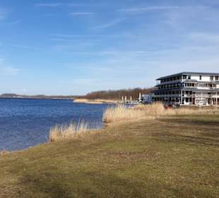 Umgebung am Berzdorfer See.