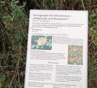 Schaugarten Eninger Weide