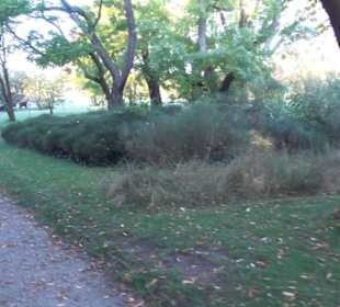 Botanischer Garten