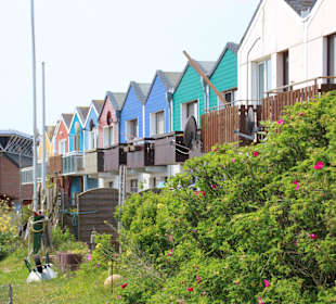 Hummerbuden am Südhafen