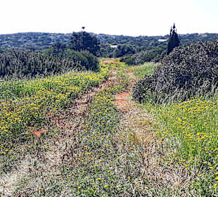 Nationalpark Kap Greco
