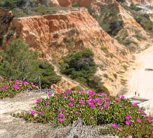 Strand Praia da Falésia