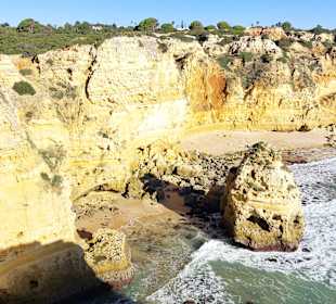 Seven Hanging Valleys Trail 