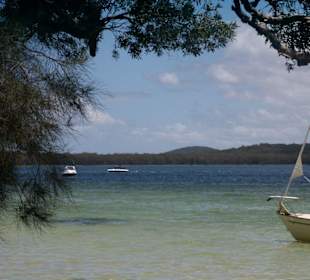 Myall Lakes / Shelly Beach - 1
