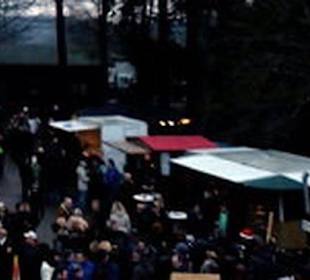 Romantische Waldweihnacht Johanniskreuz