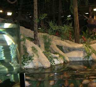 Umgebung klasse gestaltet