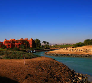 Rund um´s Turtle House