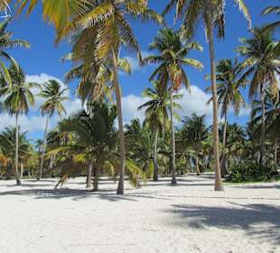 Insel Saona