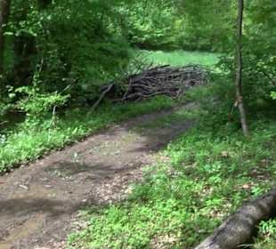 Wander- Naturpark Schönbuchnd Radweg Donau