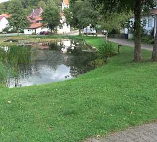 Hüle Zainingen