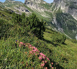 Wandern Hinterhornbach