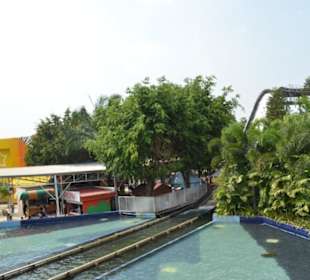 Dreamworld Bangkok