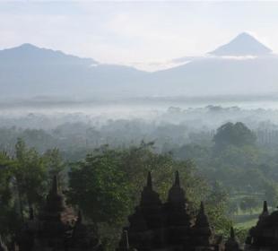 Morgennebel am Borobudur