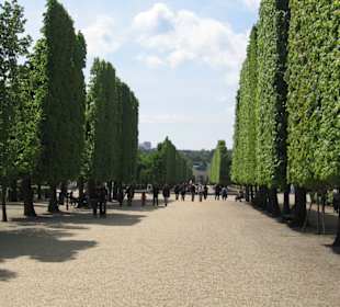 Schloss Schönbrunn Schlosspark
