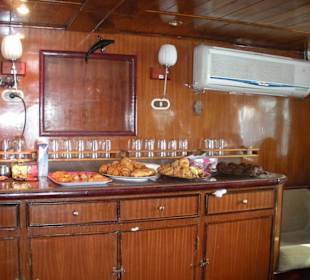 Dolphintour mit Oototo zum Zweiten