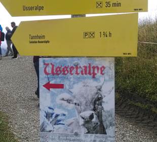 Wandern Nesselwängle