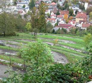 Serpentinenweg Grünraum