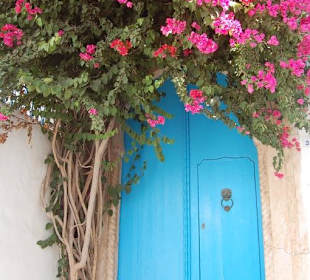 Wycieczka do Tunisu (Sidi  Bou Said)