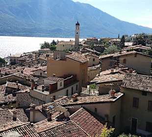 Aussicht von den Gärten