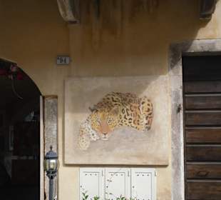 Wandern Garda