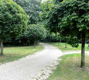 Zufahrtsallee zu Pellens Park