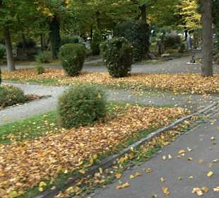 Hauptfriedhof Friedrichshafen