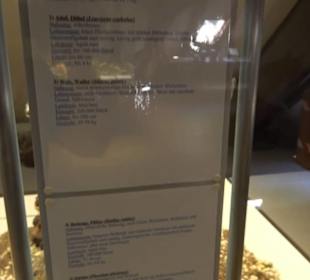 Natur- und Jagdmuseum