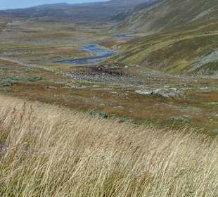 Nordkinn Halbinsel