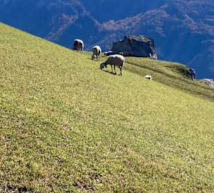 Wandern Naturno / Naturns
