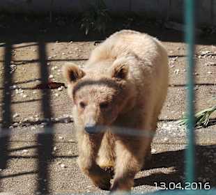 Discovery Park Manavgat