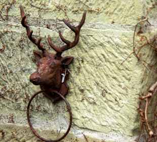 Für die Pferde zum Anleinen