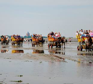 Mit der Wattenpost zur Insel Neuwerk
