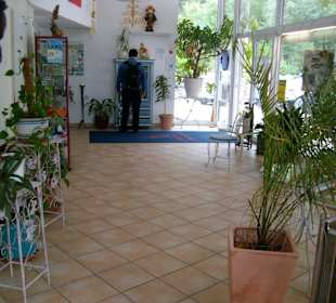 Alles nett mit Blumen im Eingangsbereich