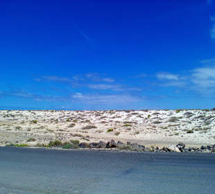 Lehrpfad El Tostón Cotillo in Cotillo