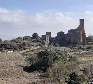 Basilica di San Pietro